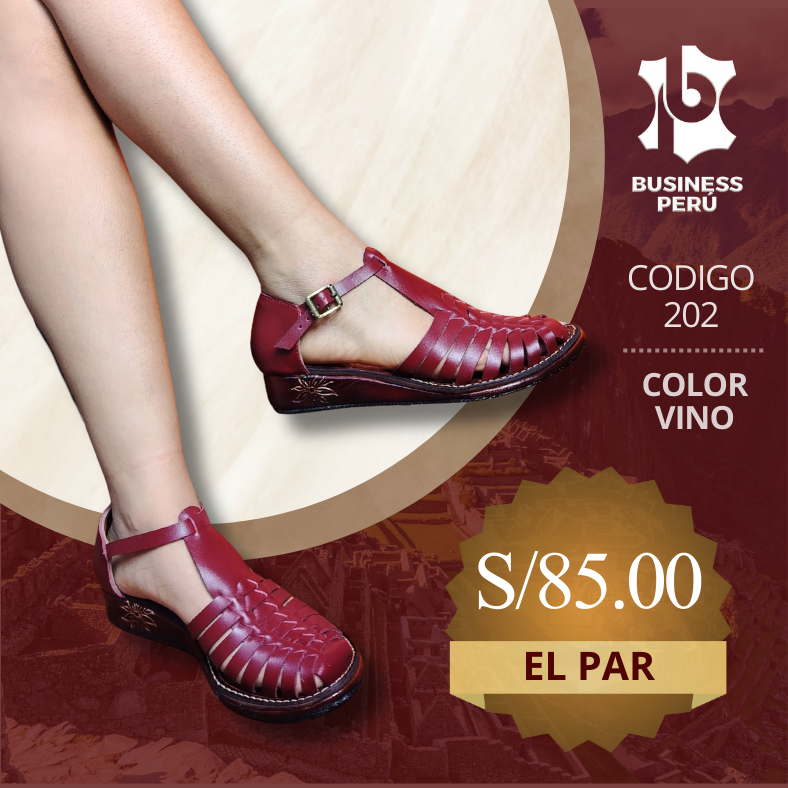 ZAPATOS CERRADOS 202