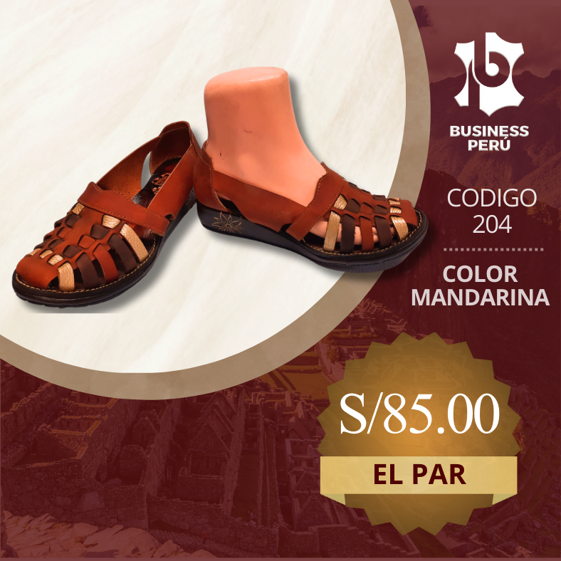 ZAPATOS CERRADOS 204