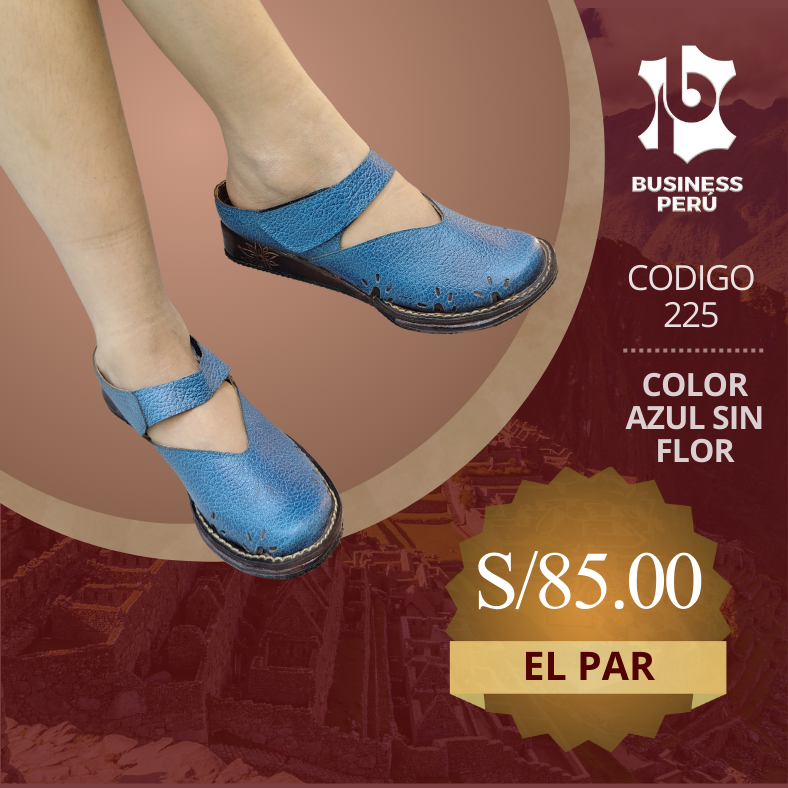 ZAPATOS CERRADOS 225