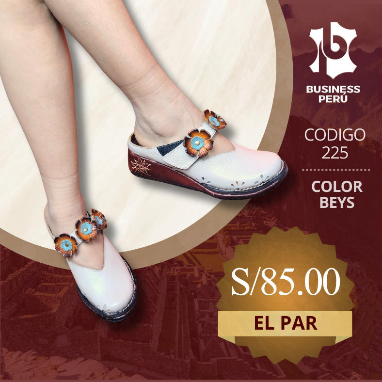 ZAPATOS CERRADOS 225