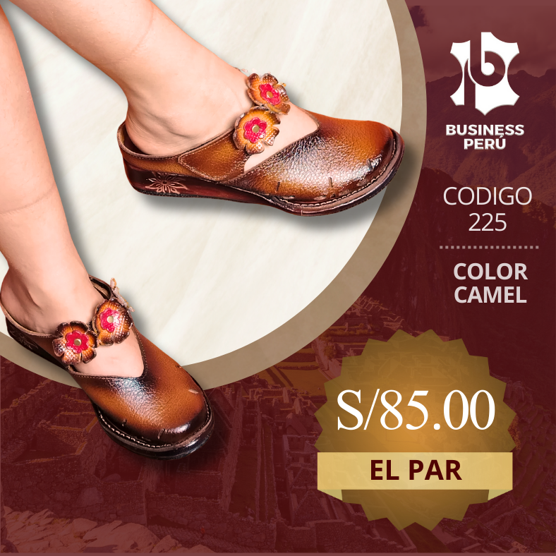 ZAPATOS CERRADOS 225