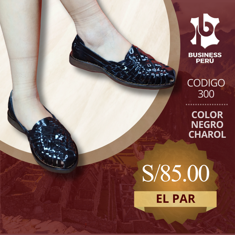 ZAPATOS CERRADOS 300